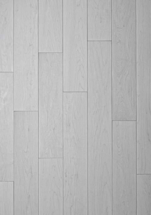 Клен Канадский White Wash Ablux